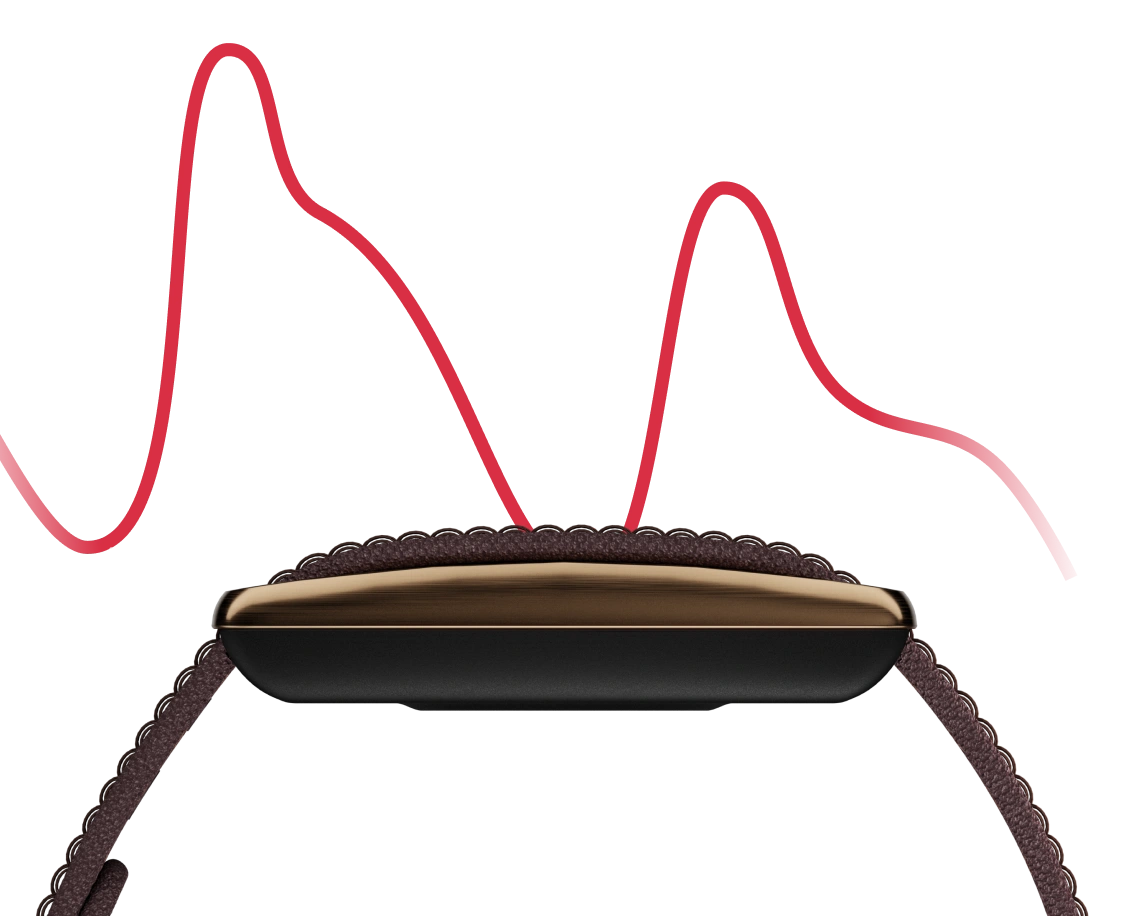 Polar Loop Brown Copper